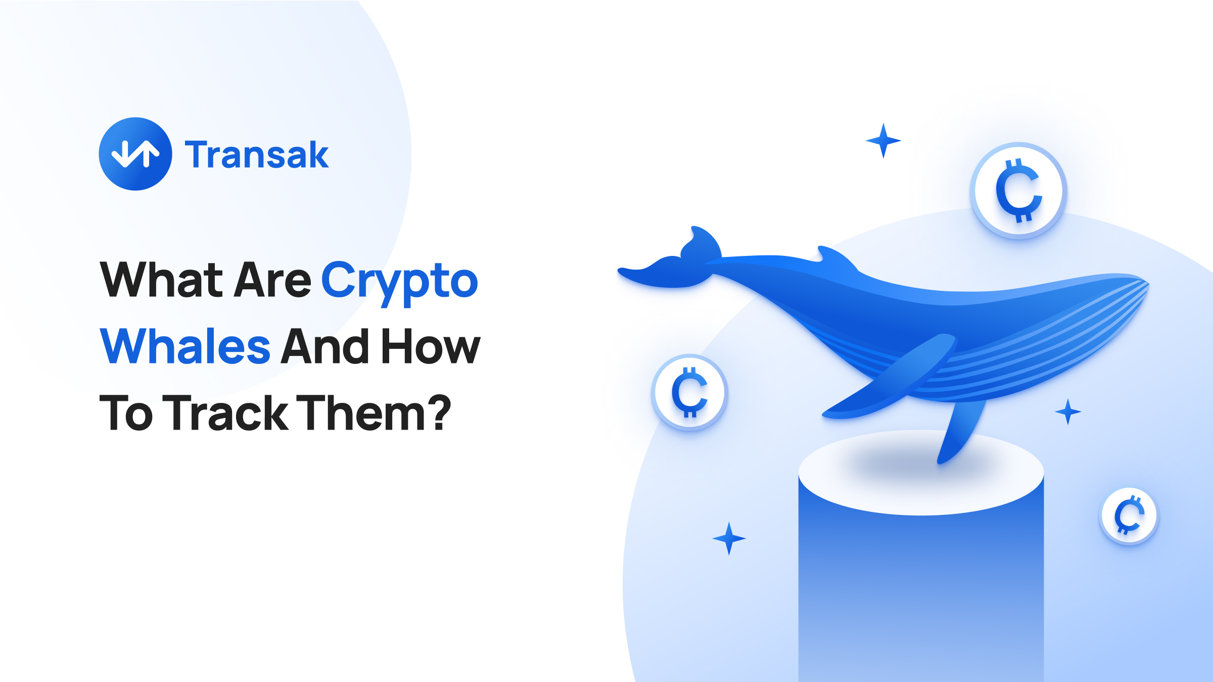 What Are Crypto Whales And How To Track Them_